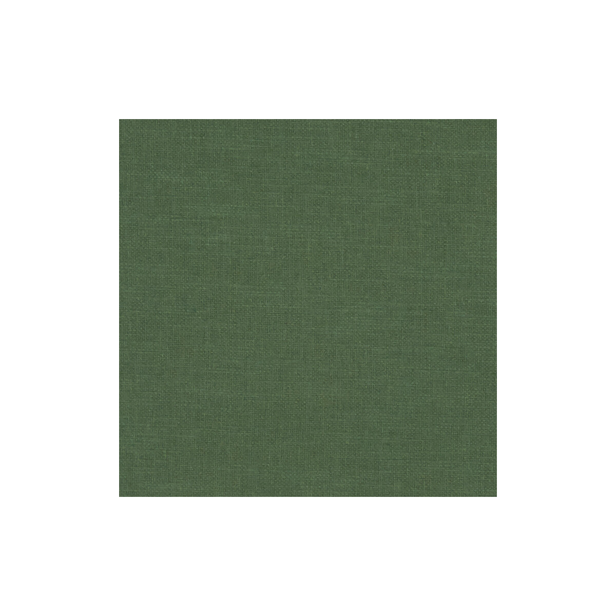 CLARKE AND CLARKE F1239/25.CAC.0 AMALFI FOREST Fabric - Eade's Wallpaper