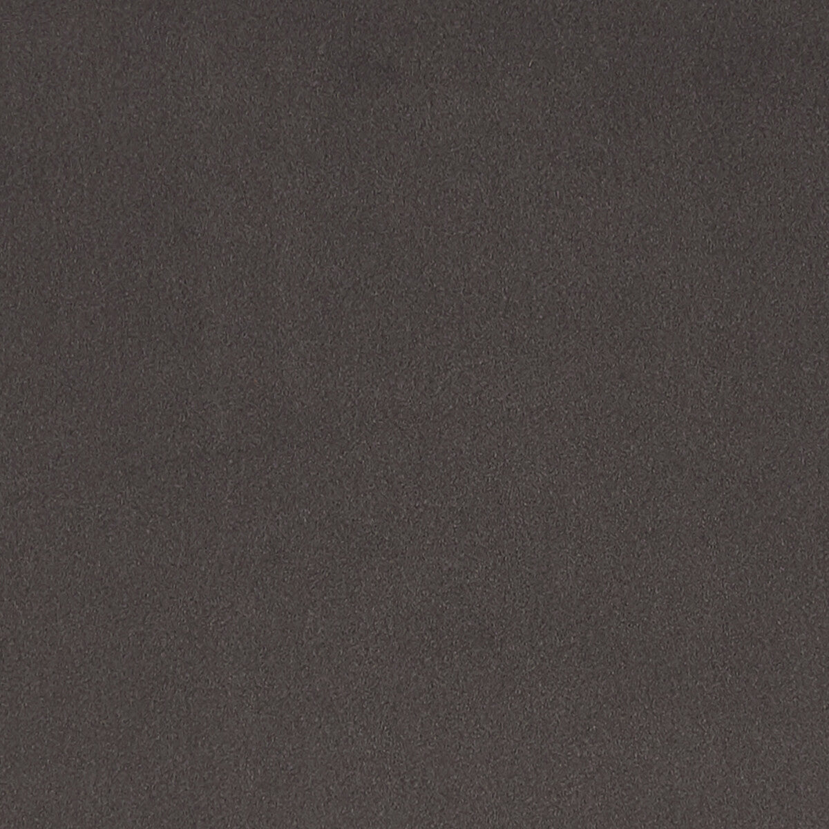 CLARKE AND CLARKE F1295/02.CAC.0 LUCCA ASH Fabric - Eade's Wallpaper