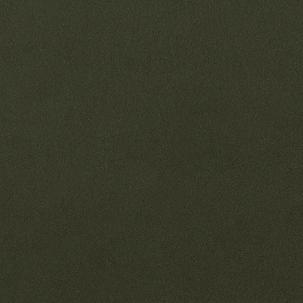 CLARKE AND CLARKE F1295/03.CAC.0 LUCCA CHIVE Fabric - Eade's Wallpaper