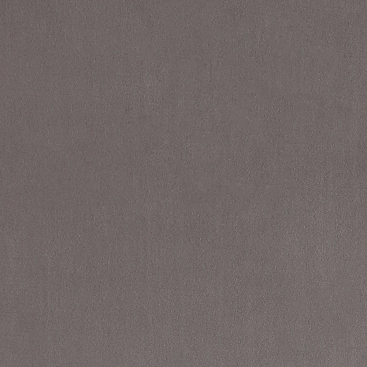 CLARKE AND CLARKE F1295/04.CAC.0 LUCCA DOVE Fabric - Eade's Wallpaper