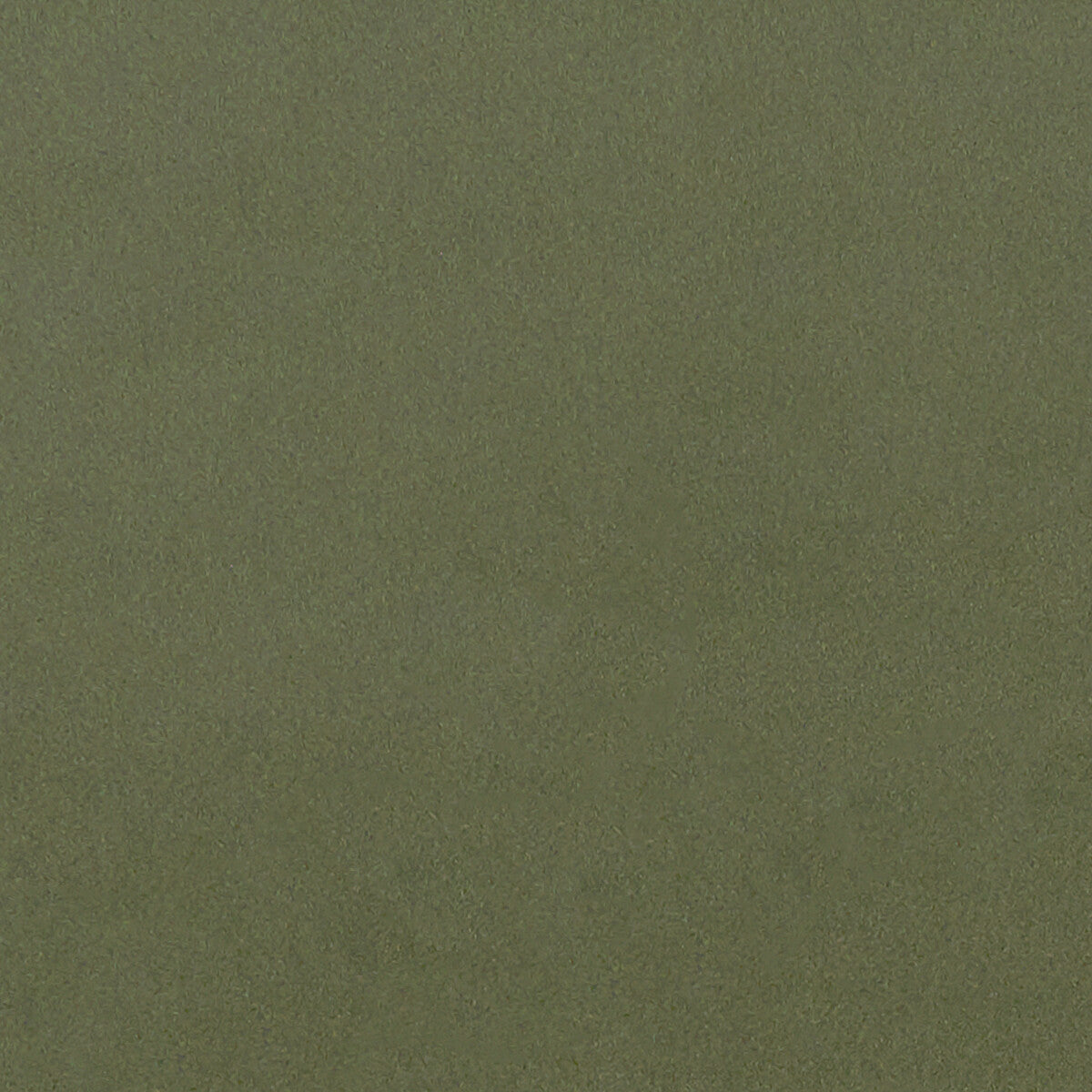 CLARKE AND CLARKE F1295/07.CAC.0 LUCCA HERB Fabric - Eade's Wallpaper