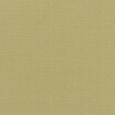 CLARKE AND CLARKE F1299/03.CAC.0 KAUAI CITRON Fabric - Eade's Wallpaper