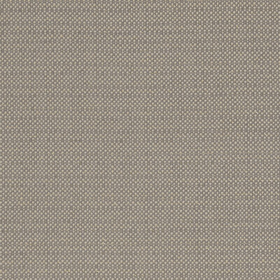 CLARKE AND CLARKE F1299/07.CAC.0 KAUAI MOCHA Fabric - Eade's Wallpaper