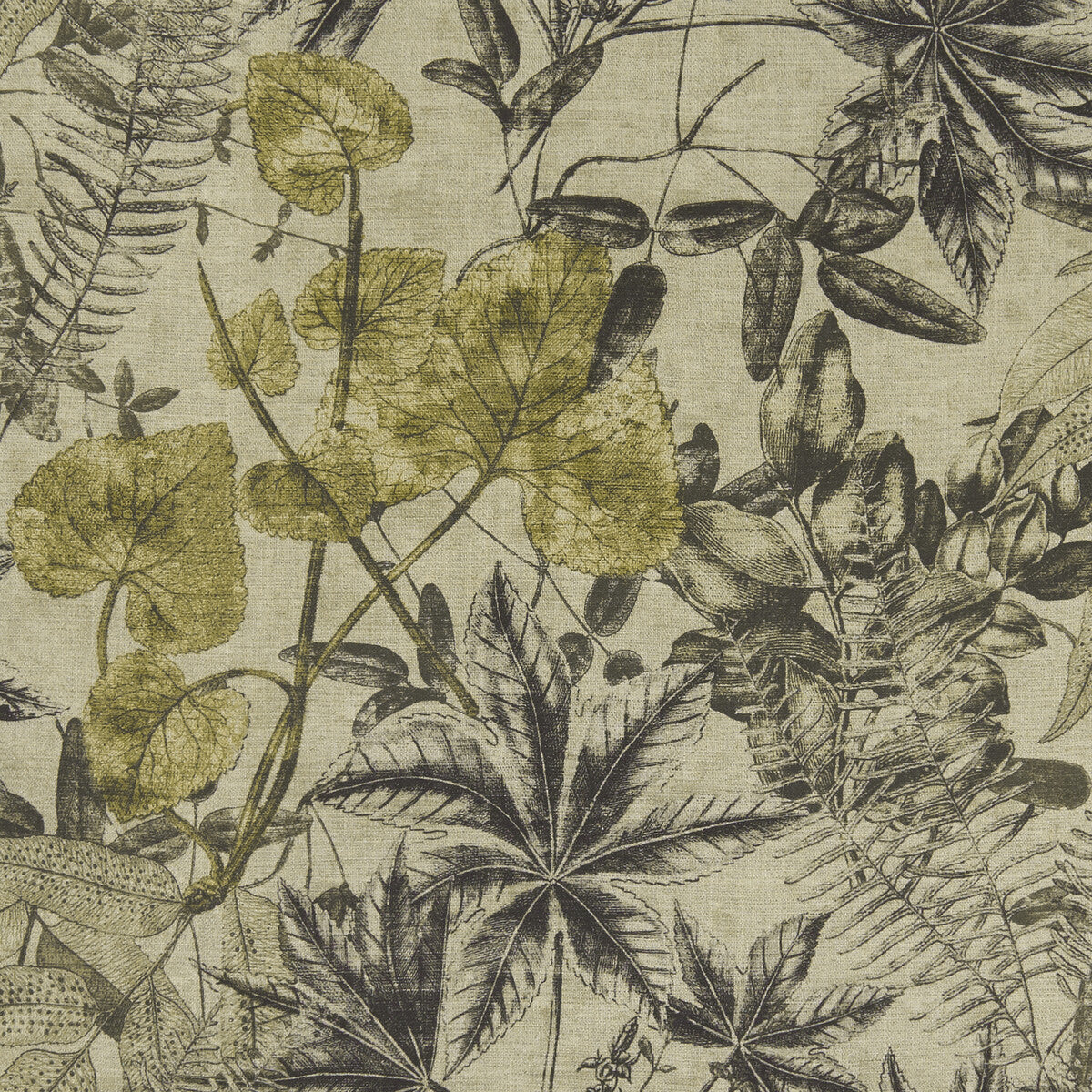CLARKE AND CLARKE F1301/01.CAC.0 MADAGASCAR CHARCOAL/CHARTEUSE Fabric - Eade's Wallpaper