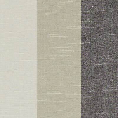 CLARKE AND CLARKE F1308/03.CAC.0 BUCKTON CHARCOAL Fabric - Eade's Wallpaper