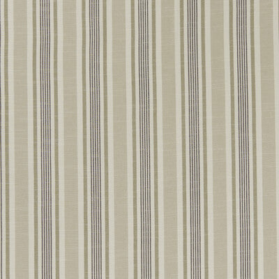 CLARKE AND CLARKE F1310/03.CAC.0 MAPPLETON CHARCOAL Fabric - Eade's Wallpaper