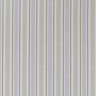 CLARKE AND CLARKE F1310/06.CAC.0 MAPPLETON MINERAL Fabric - Eade's Wallpaper