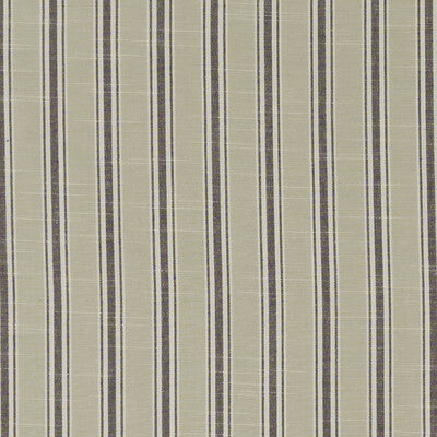 CLARKE AND CLARKE F1311/02.CAC.0 THORNWICK CHARCOAL Fabric - Eade's Wallpaper