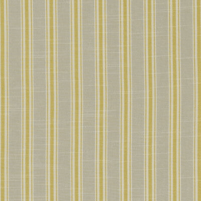 CLARKE AND CLARKE F1311/03.CAC.0 THORNWICK CITRUS Fabric - Eade's Wallpaper