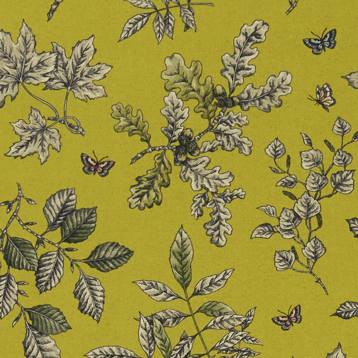 CLARKE AND CLARKE F1329/03.CAC.0 HORTUS CHARTREUSE Fabric - Eade's Wallpaper