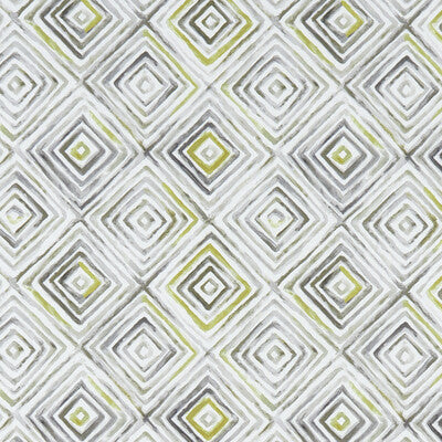 CLARKE AND CLARKE F1359/01.CAC.0 OTIS CHARTREUSE/CHARCOAL Fabric - Eade's Wallpaper