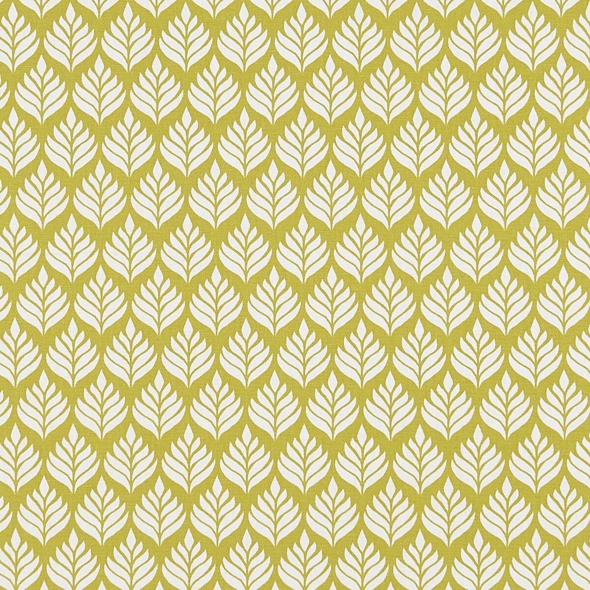 CLARKE AND CLARKE F1372/03.CAC.0 ELISE CITRUS Fabric - Eade's Wallpaper