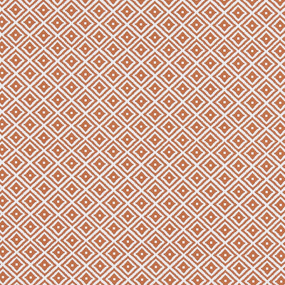 CLARKE AND CLARKE F1374/07.CAC.0 KIKI SPICE Fabric - Eade's Wallpaper