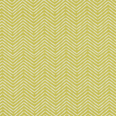 CLARKE AND CLARKE F1378/03.CAC.0 PICA CITRUS Fabric - Eade's Wallpaper
