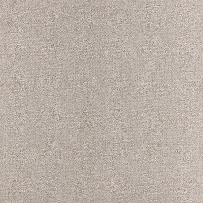 CLARKE AND CLARKE F1416/11.CAC.0 ACIES TAUPE Fabric - Eade's Wallpaper