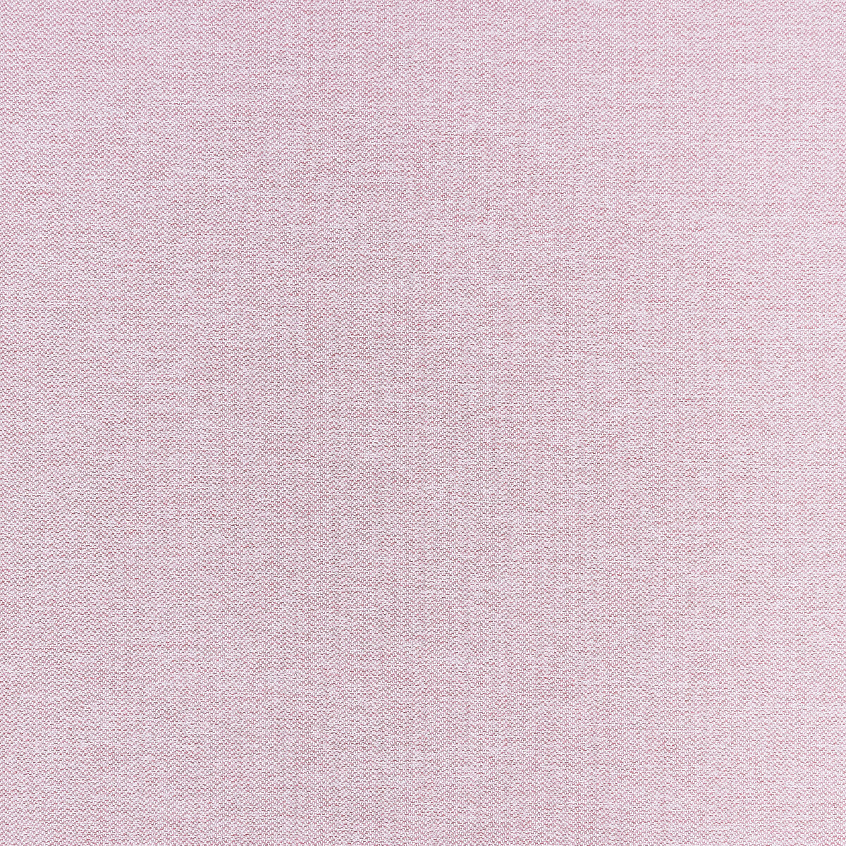 CLARKE AND CLARKE F1417/02.CAC.0 CLARO BLUSH Fabric - Eade's Wallpaper