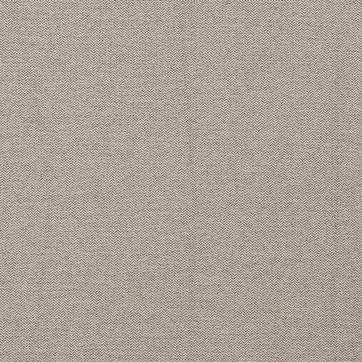 CLARKE AND CLARKE F1417/06.CAC.0 CLARO TAUPE Fabric - Eade's Wallpaper