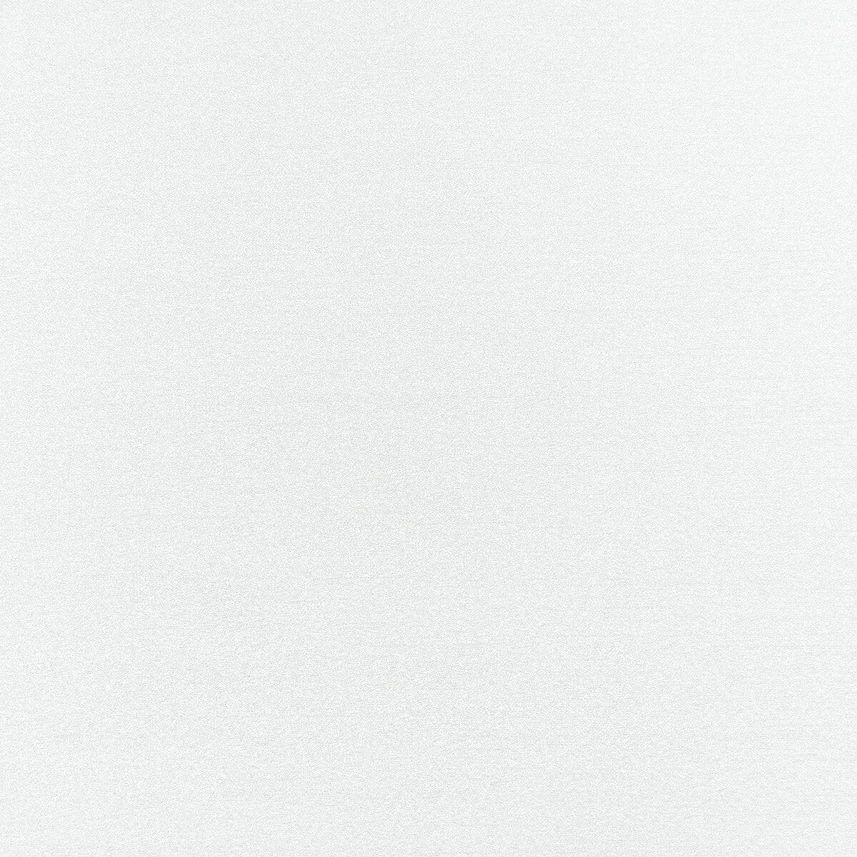 CLARKE AND CLARKE F1419/06.CAC.0 FELPA POLAR Fabric - Eade's Wallpaper