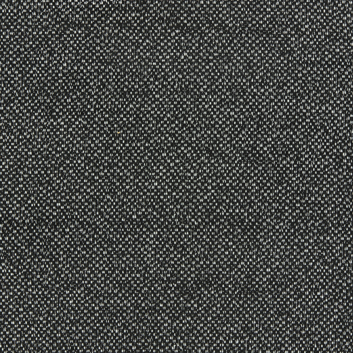 CLARKE AND CLARKE F1421/02.CAC.0 FILUM EBONY Fabric - Eade's Wallpaper