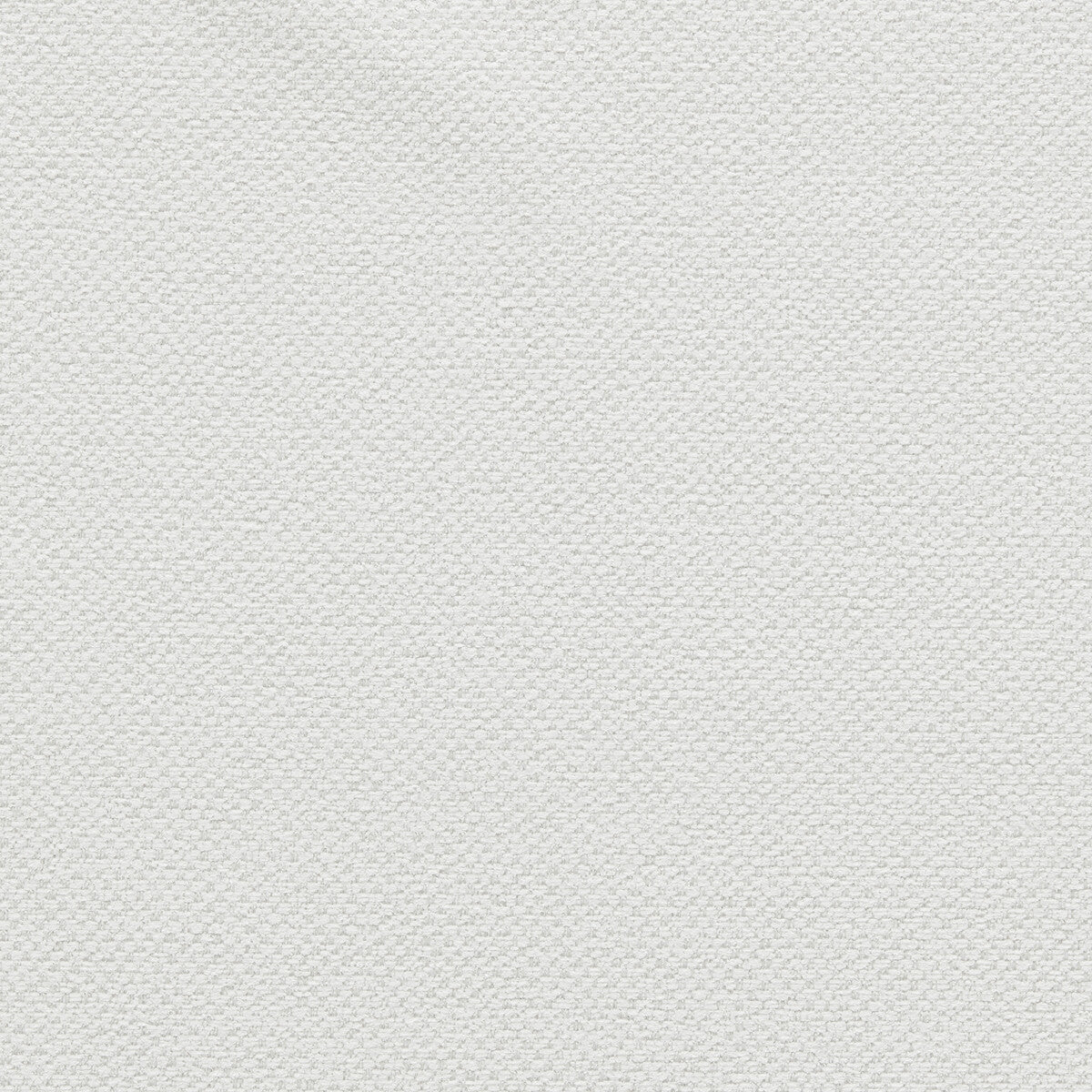 CLARKE AND CLARKE F1421/03.CAC.0 FILUM POLAR Fabric - Eade's Wallpaper