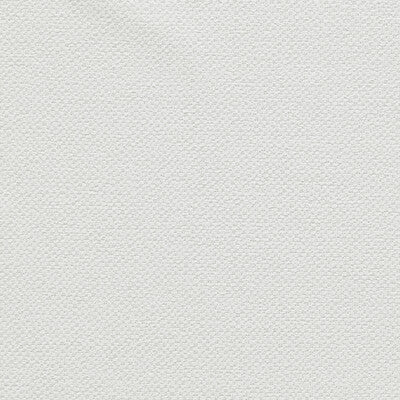 CLARKE AND CLARKE F1421/03.CAC.0 FILUM POLAR Fabric - Eade's Wallpaper