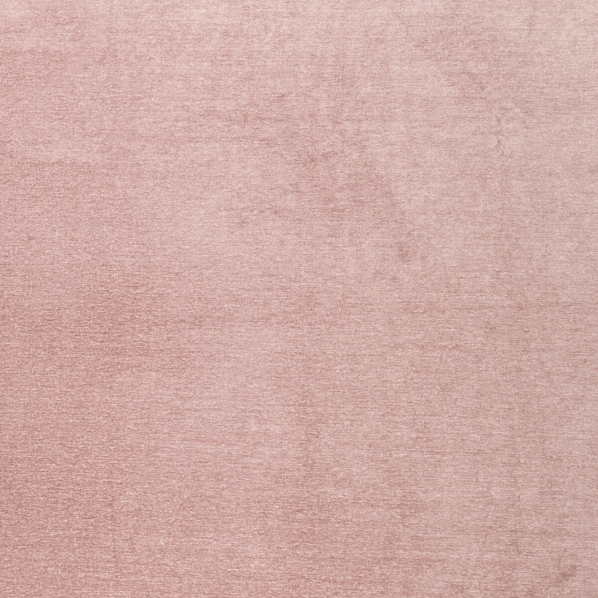 CLARKE AND CLARKE F1423/02.CAC.0 MACULO BLUSH Fabric - Eade's Wallpaper