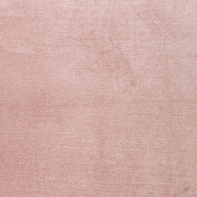 CLARKE AND CLARKE F1423/02.CAC.0 MACULO BLUSH Fabric - Eade's Wallpaper