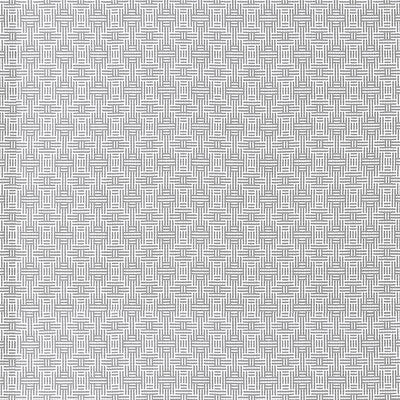 CLARKE AND CLARKE F1438/04.CAC.0 AZTEC SILVER Fabric - Eade's Wallpaper