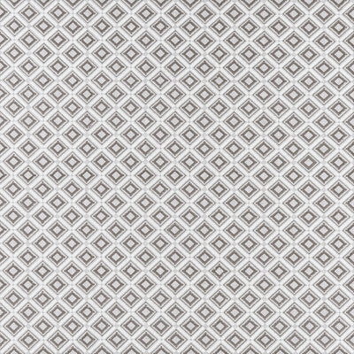 CLARKE AND CLARKE F1448/02.CAC.0 PARAGON SILVER Fabric - Eade's Wallpaper
