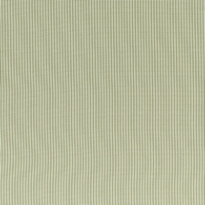 CLARKE AND CLARKE F1505/10.CAC.0 WINDSOR SAGE Fabric - Eade's Wallpaper