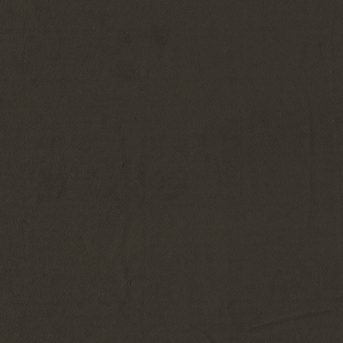 CLARKE AND CLARKE F1511/12.CAC.0 MIAMI ESPRESSO Fabric - Eade's Wallpaper