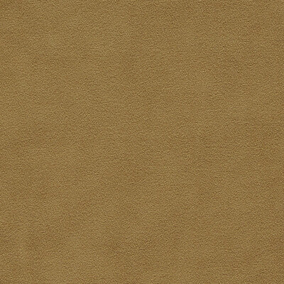 CLARKE AND CLARKE F1511/14.CAC.0 MIAMI GOLD Fabric - Eade's Wallpaper