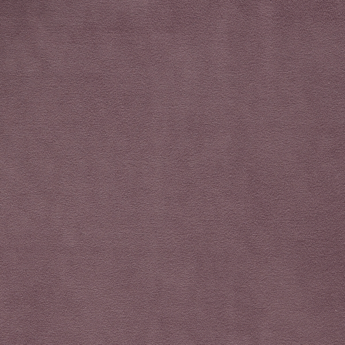 CLARKE AND CLARKE F1511/15.CAC.0 MIAMI HEATHER Fabric - Eade's Wallpaper