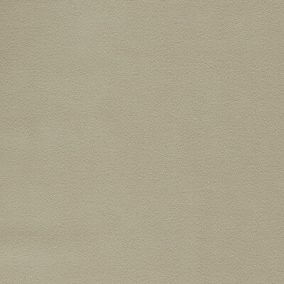 CLARKE AND CLARKE F1511/23.CAC.0 MIAMI TAUPE Fabric - Eade's Wallpaper
