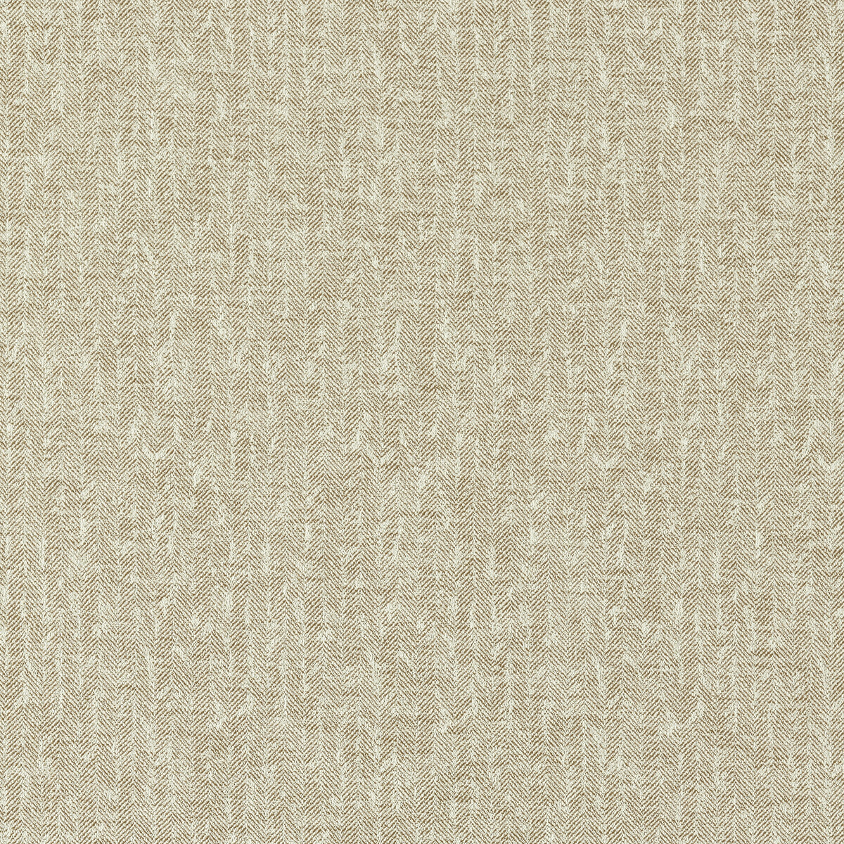 CLARKE AND CLARKE F1529/01.CAC.0 TIERRA ANTIQUE Fabric - Eade's Wallpaper