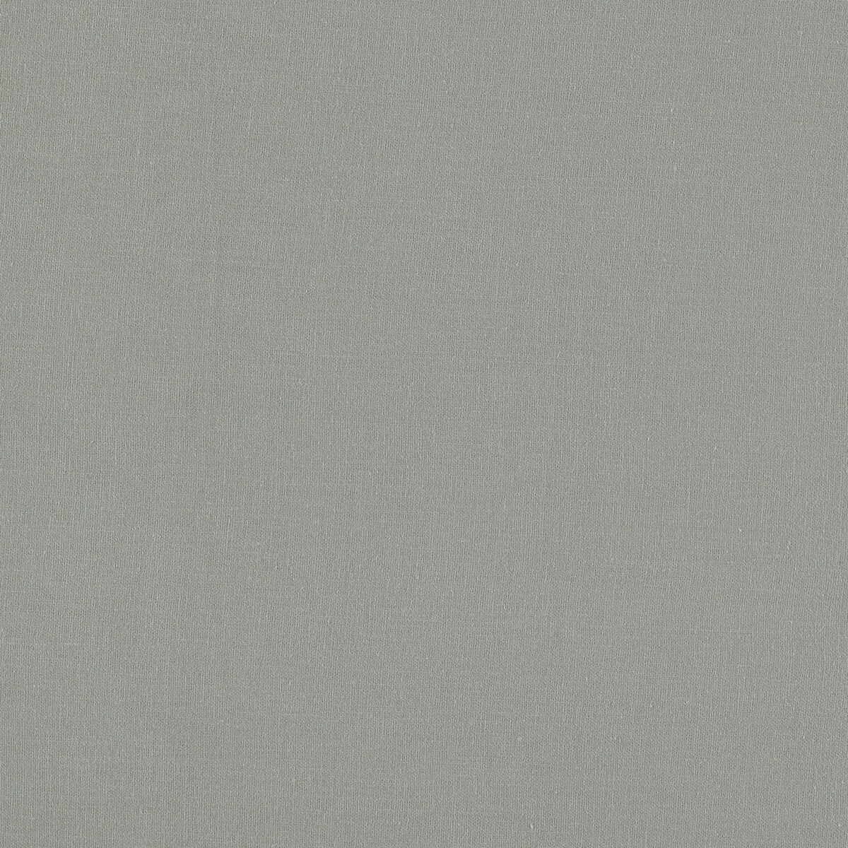 CLARKE AND CLARKE F1537/02.CAC.0 LAZIO ASH Fabric - Eade's Wallpaper