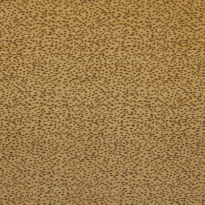 CLARKE AND CLARKE F1564/02.CAC.0 ASTRAL GOLD Fabric - Eade's Wallpaper
