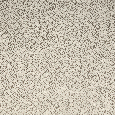 CLARKE AND CLARKE F1564/07.CAC.0 ASTRAL STONE Fabric - Eade's Wallpaper