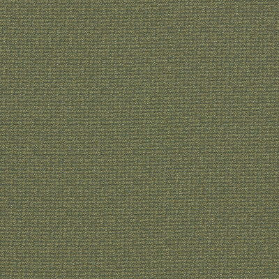 CLARKE AND CLARKE F1569/05.CAC.0 MALONE MOSS Fabric - Eade's Wallpaper