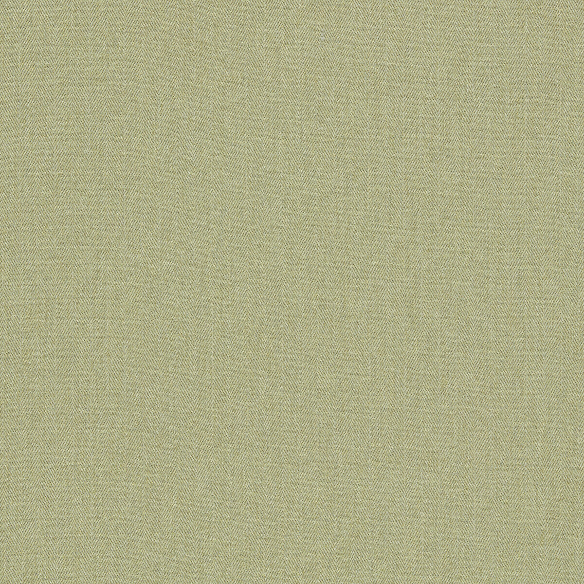 CLARKE AND CLARKE F1570/08.CAC.0 ROWLAND OLIVE Fabric - Eade's Wallpaper