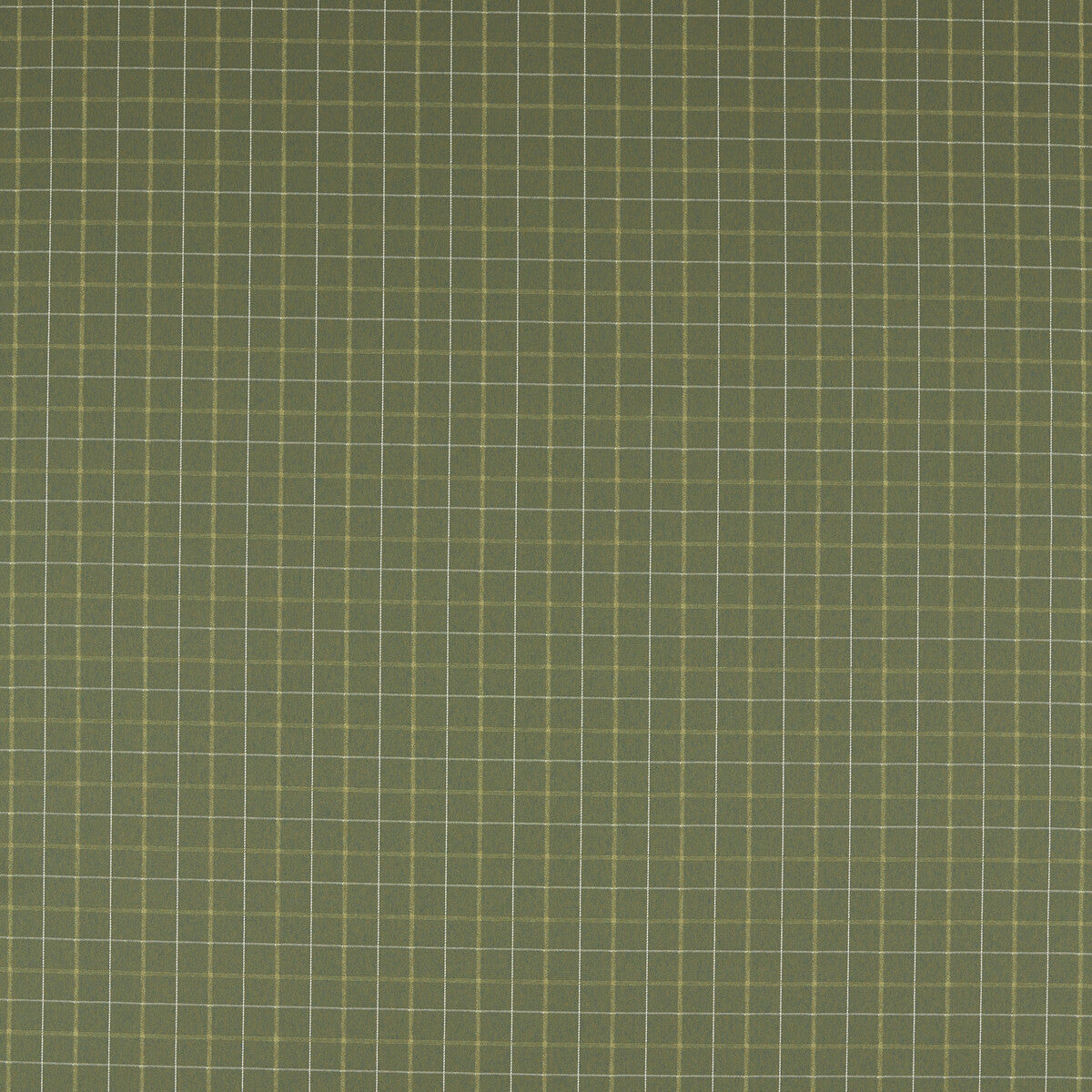 CLARKE AND CLARKE F1571/04.CAC.0 THORNTON MOSS Fabric - Eade's Wallpaper