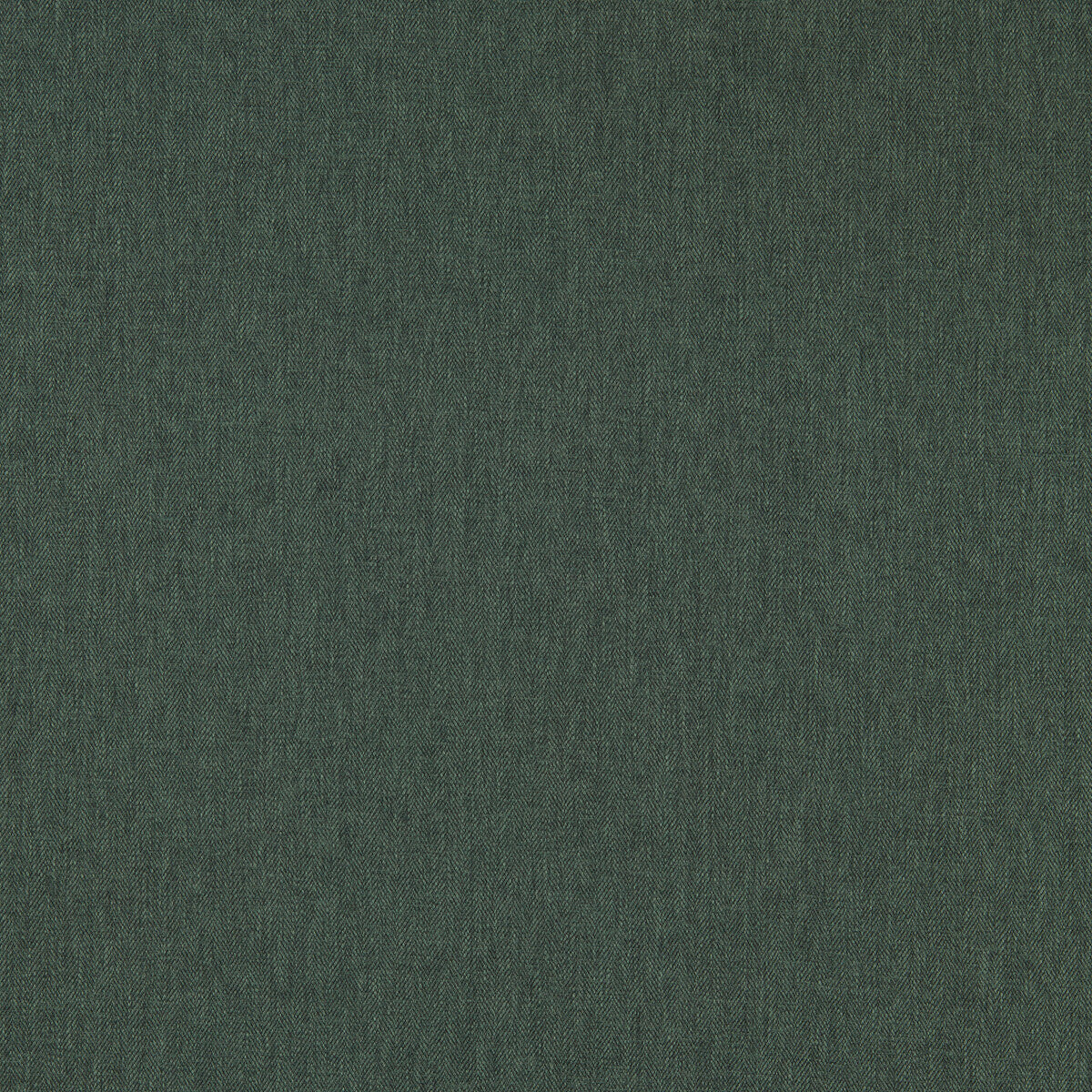 CLARKE AND CLARKE F1572/06.CAC.0 ORLA FOREST Fabric - Eade's Wallpaper