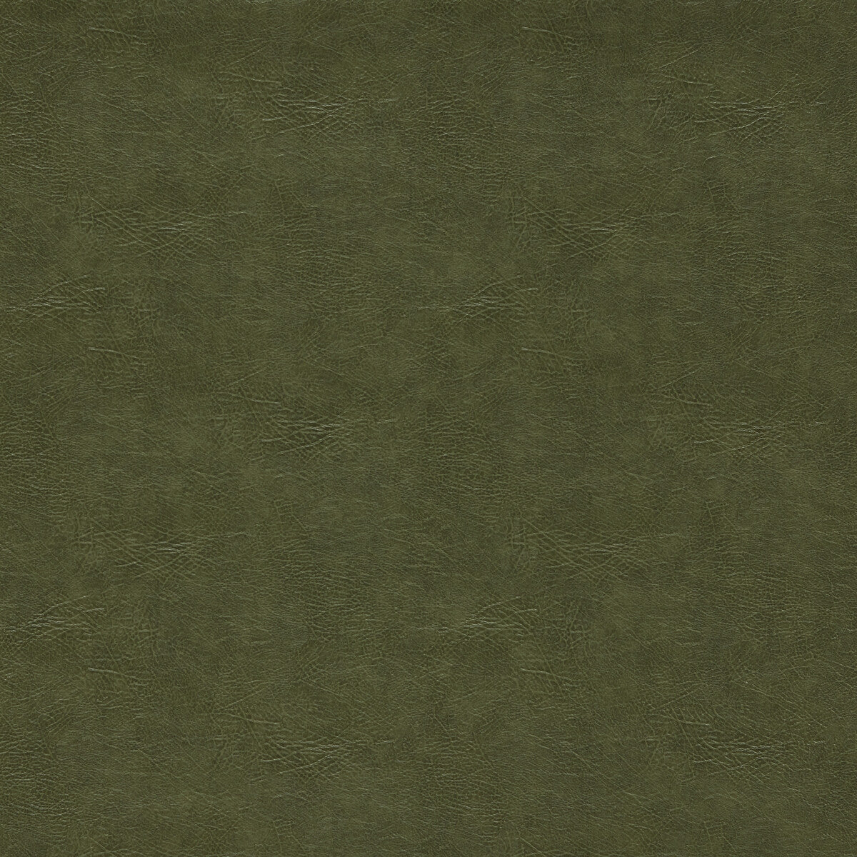 CLARKE AND CLARKE F1598/12.CAC.0 DAWSON OLIVE Fabric - Eade's Wallpaper