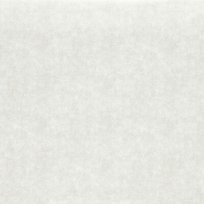 CLARKE AND CLARKE F1598/13.CAC.0 DAWSON PEARL Fabric - Eade's Wallpaper