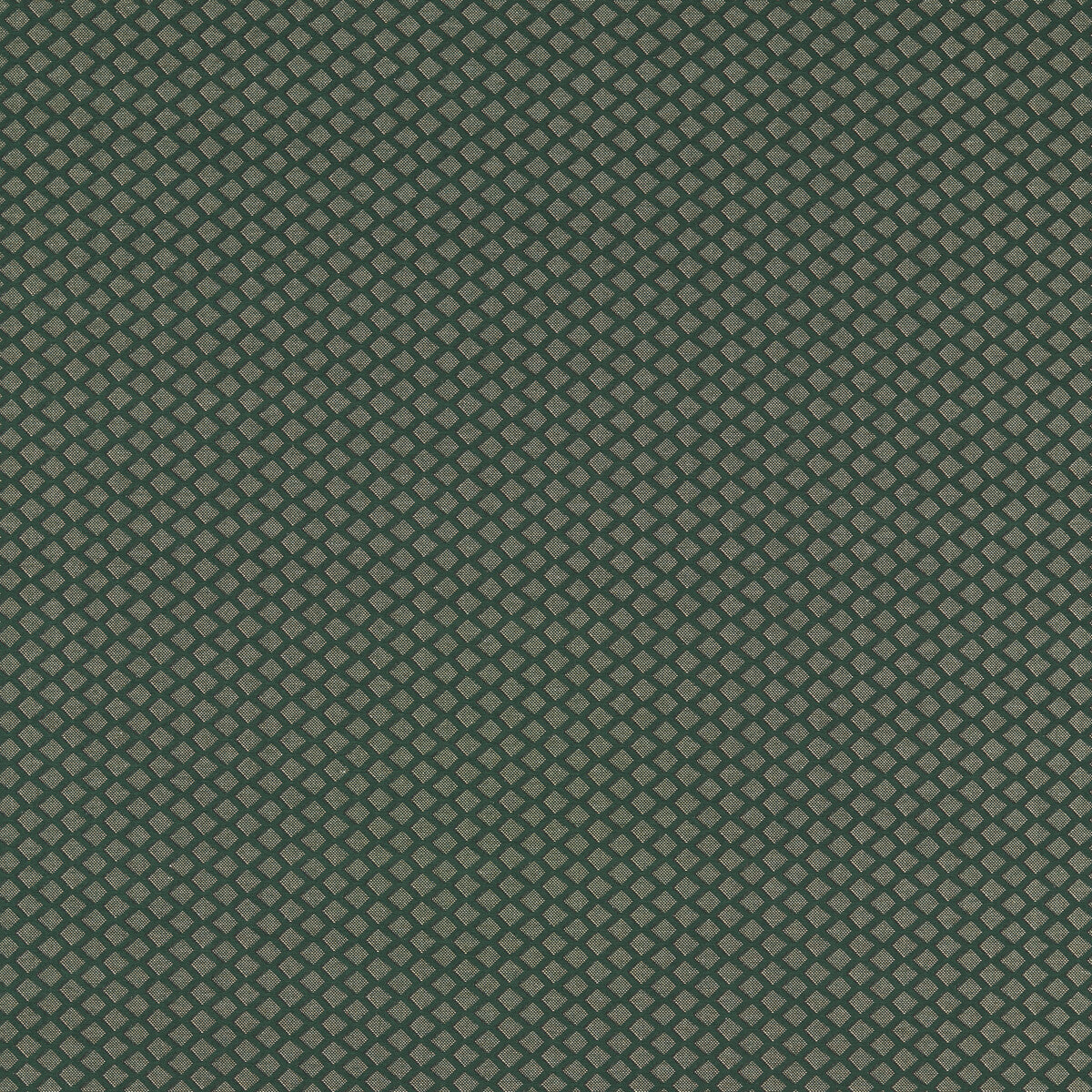 CLARKE AND CLARKE F1618/01.CAC.0 EQUATOR FOREST Fabric - Eade's Wallpaper
