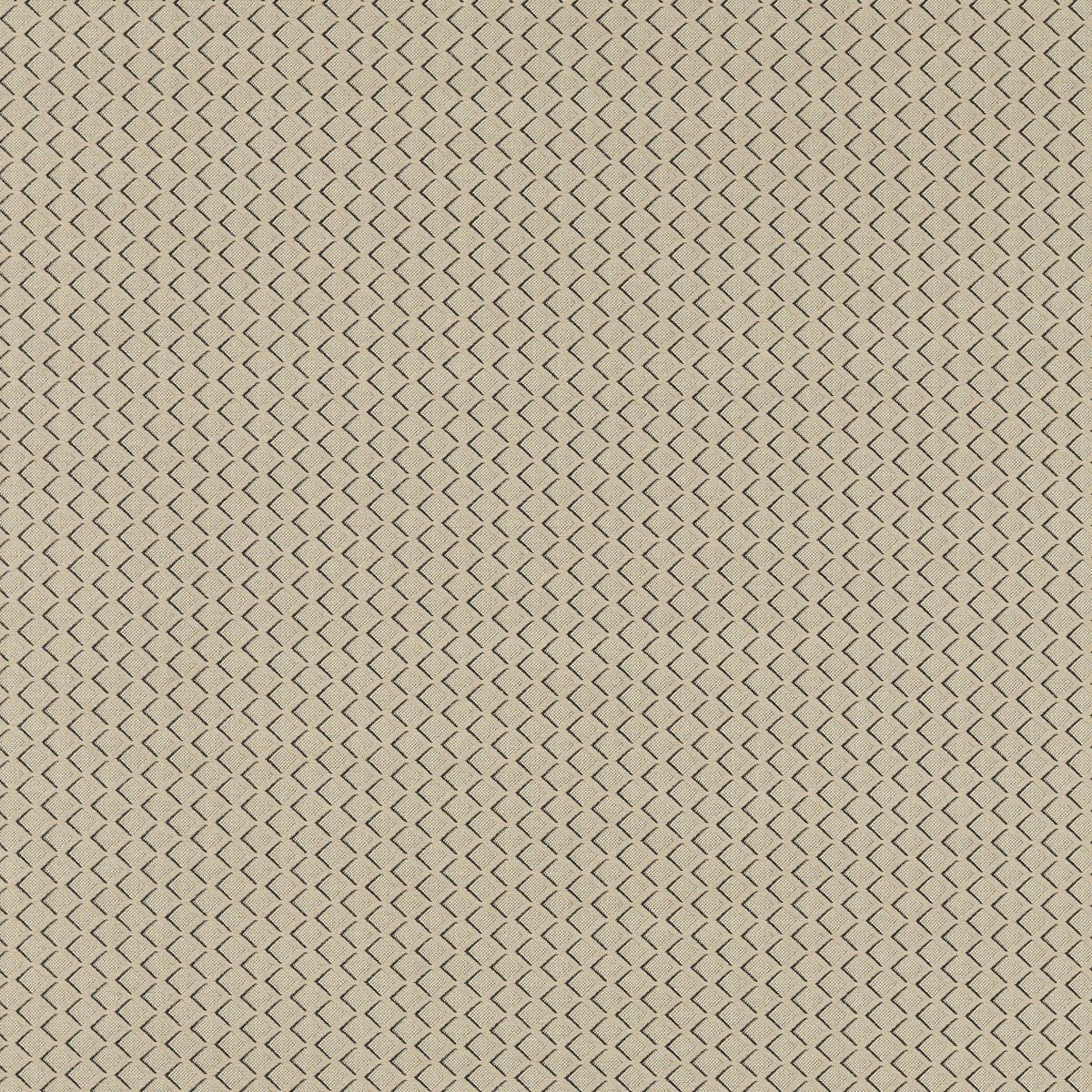 CLARKE AND CLARKE F1618/03.CAC.0 EQUATOR NATURAL Fabric - Eade's Wallpaper