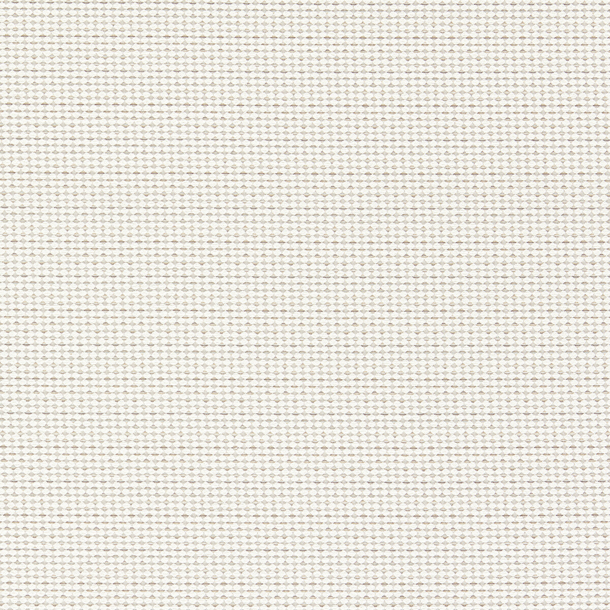 CLARKE AND CLARKE F1620/05.CAC.0 PAVO NATURAL Fabric - Eade's Wallpaper