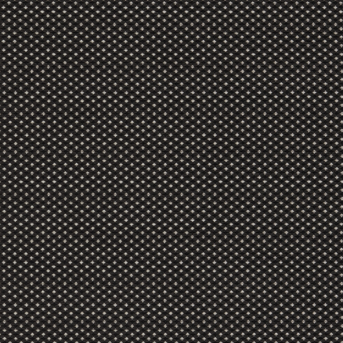CLARKE AND CLARKE F1620/06.CAC.0 PAVO NOIR Fabric - Eade's Wallpaper