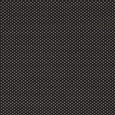 CLARKE AND CLARKE F1620/06.CAC.0 PAVO NOIR Fabric - Eade's Wallpaper