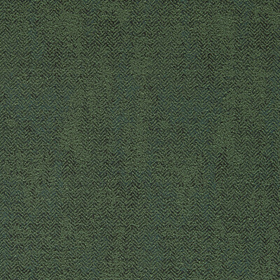 CLARKE AND CLARKE F1629/03.CAC.0 BJORN MOSS Fabric - Eade's Wallpaper